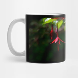 Fushia Mug